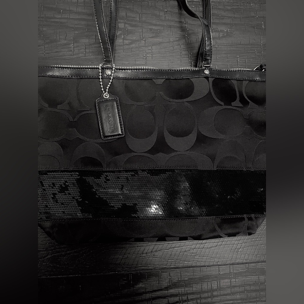 Sequin Coach Bag